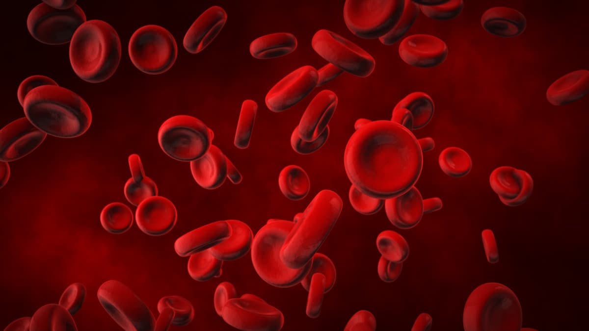 Imetelstat is used to treat patients who are relapsed or refractory to or ineligible for erythropoiesis-stimulating agents.
