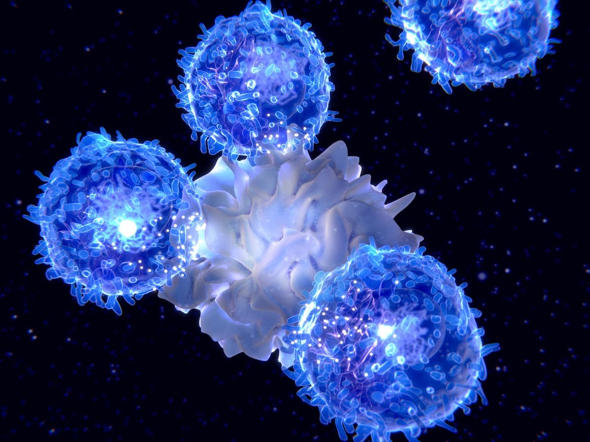 AFM13 is a bispecific cell engager that interacts with natural killer cells (NK) such as CD16A and CD30 within Hodgkin lymphoma (HL) and peripheral T-cell lymphoma (PTCL) cells. Through this, AFM13 is able to increase NK cell-mediated antibody-dependent cellular cytotoxicity (ADCC).