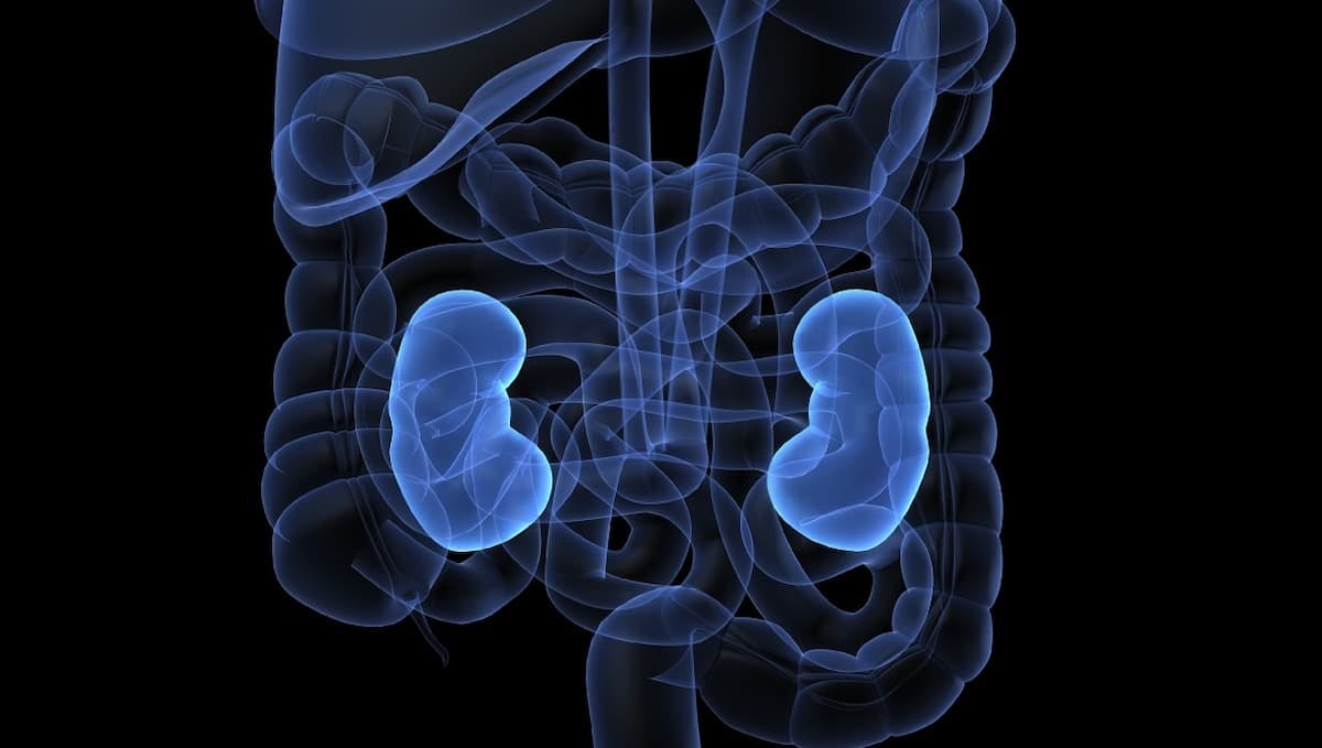 Findings from a phase 2 trial highlight an acceptable adverse effect profile and renal function with stereotactic ablative body radiotherapy in primary renal cell cancer.