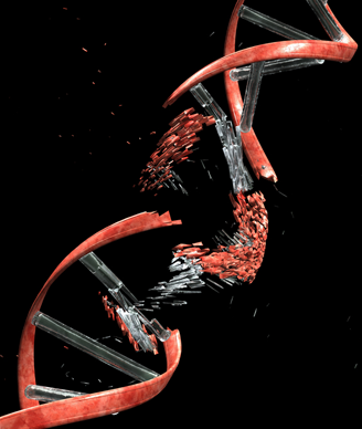 BRCA-Associated Cancer Risk May Vary by Mutation Type