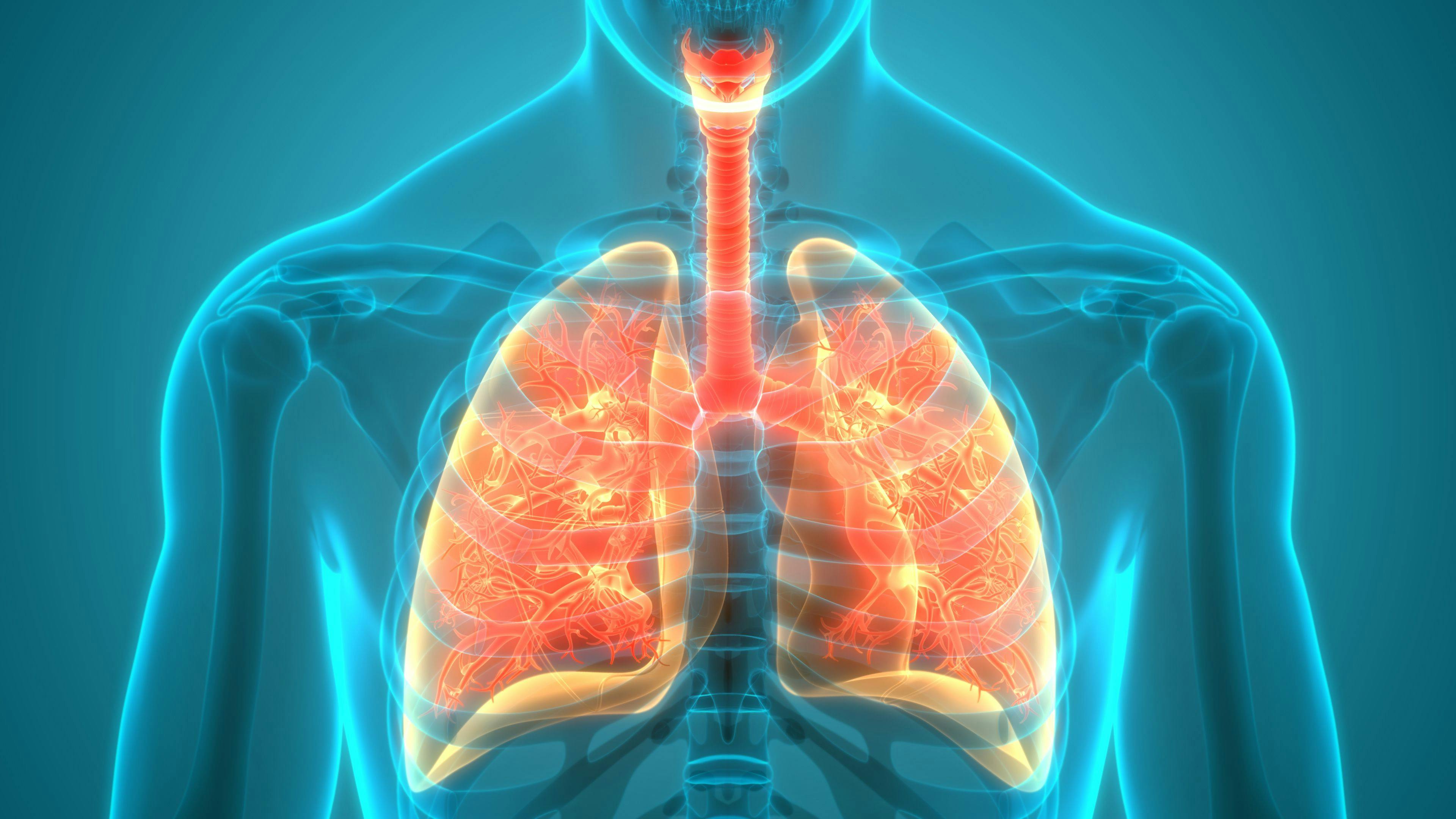 Patients with EGFR wild-type non–small cell lung cancer experienced a survival benefit with the addition of plinabulin to docetaxel in the second- and third-line settings.