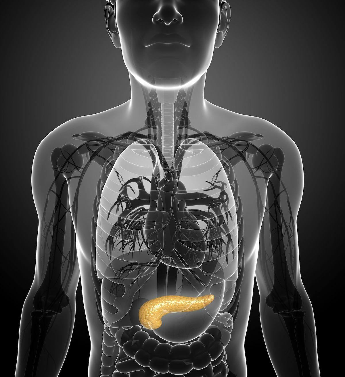 Investigators are currently evaluating treatment with IMM-1-104 in pancreatic cancer and other disease types associated with the RAS pathway as part of a phase 1/2a study.