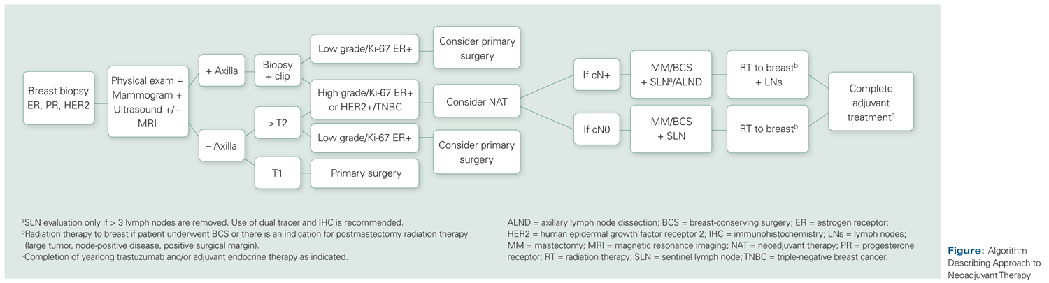Neoadjuvant Therapy for Early-Stage Breast Cancer: Current Practice, Controversies, and Future Directions 
