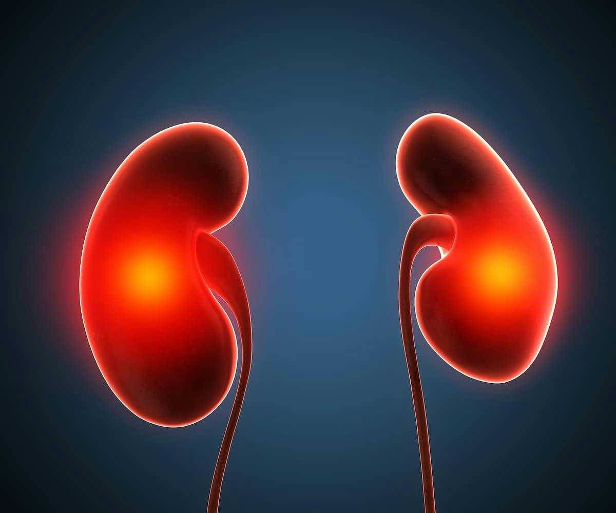 The phase 2 MK-6482-004 trial found that belzutifan produced positive response data for patients with renal cell carcinoma and non–renal cell carcinoma neoplasms associated with von Hippel-Lindau disease.