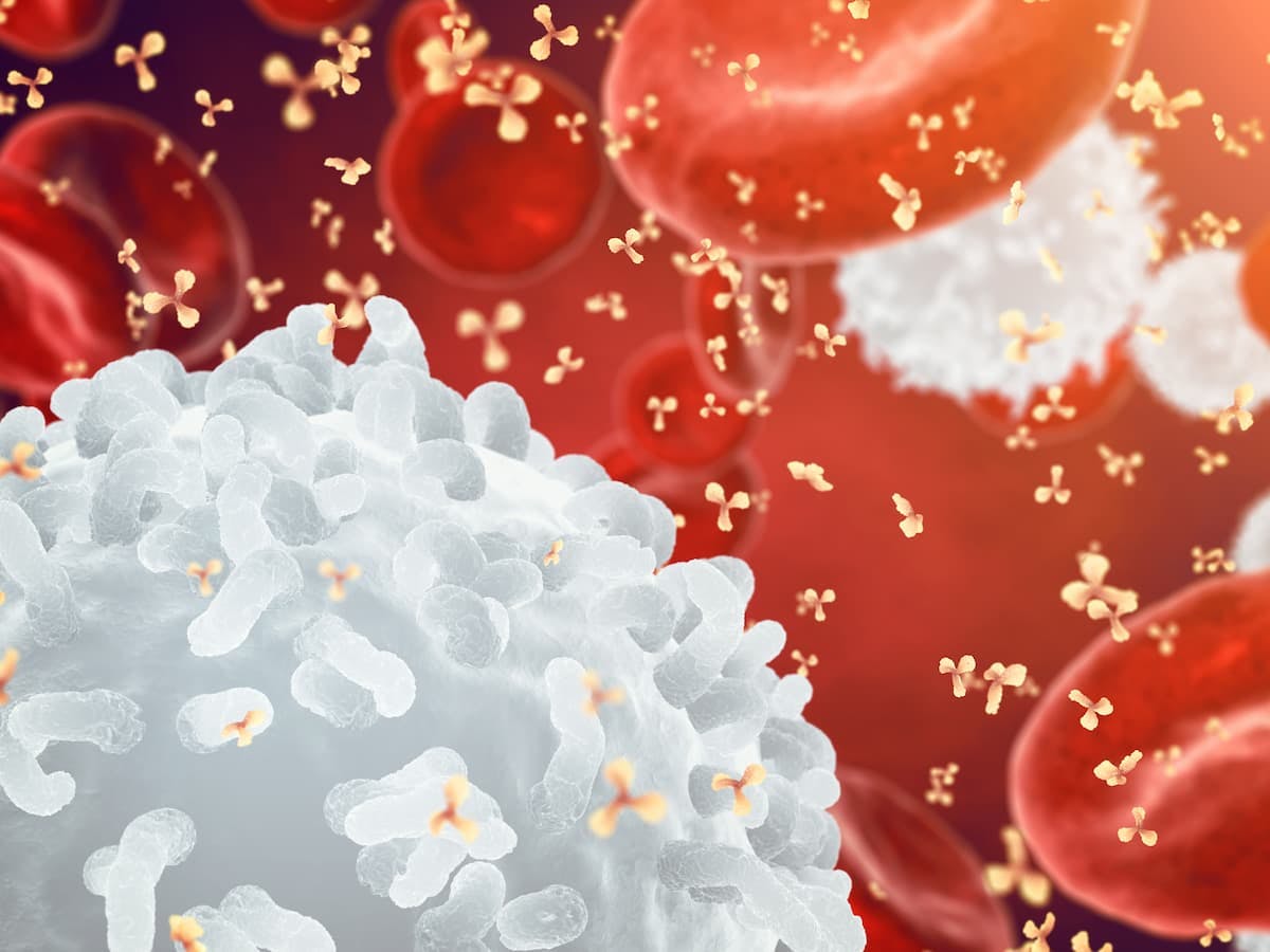 Glofitamab Shows Durable CRs for Heavily Pretreated Large B-Cell Lymphoma