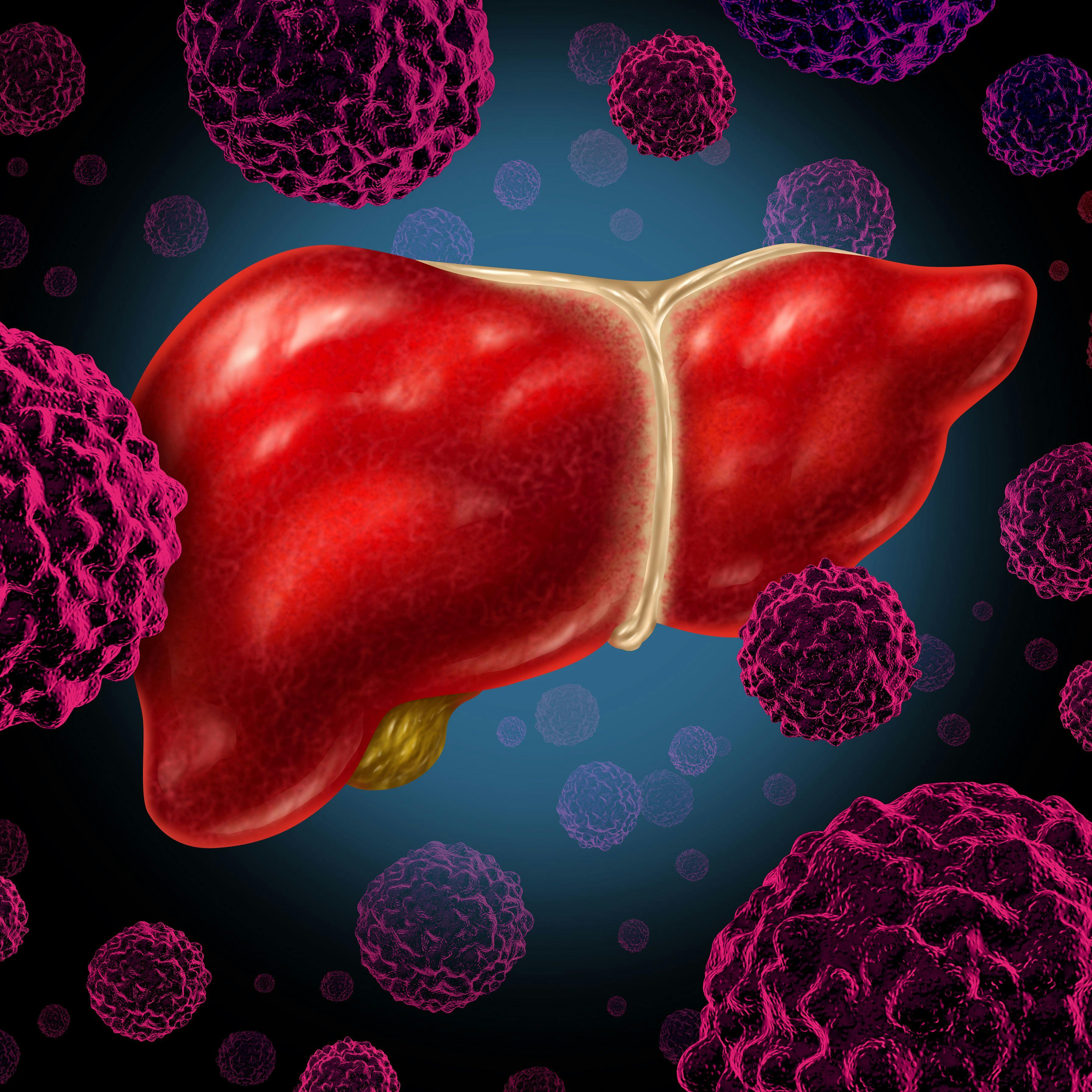Illustration of a human liver