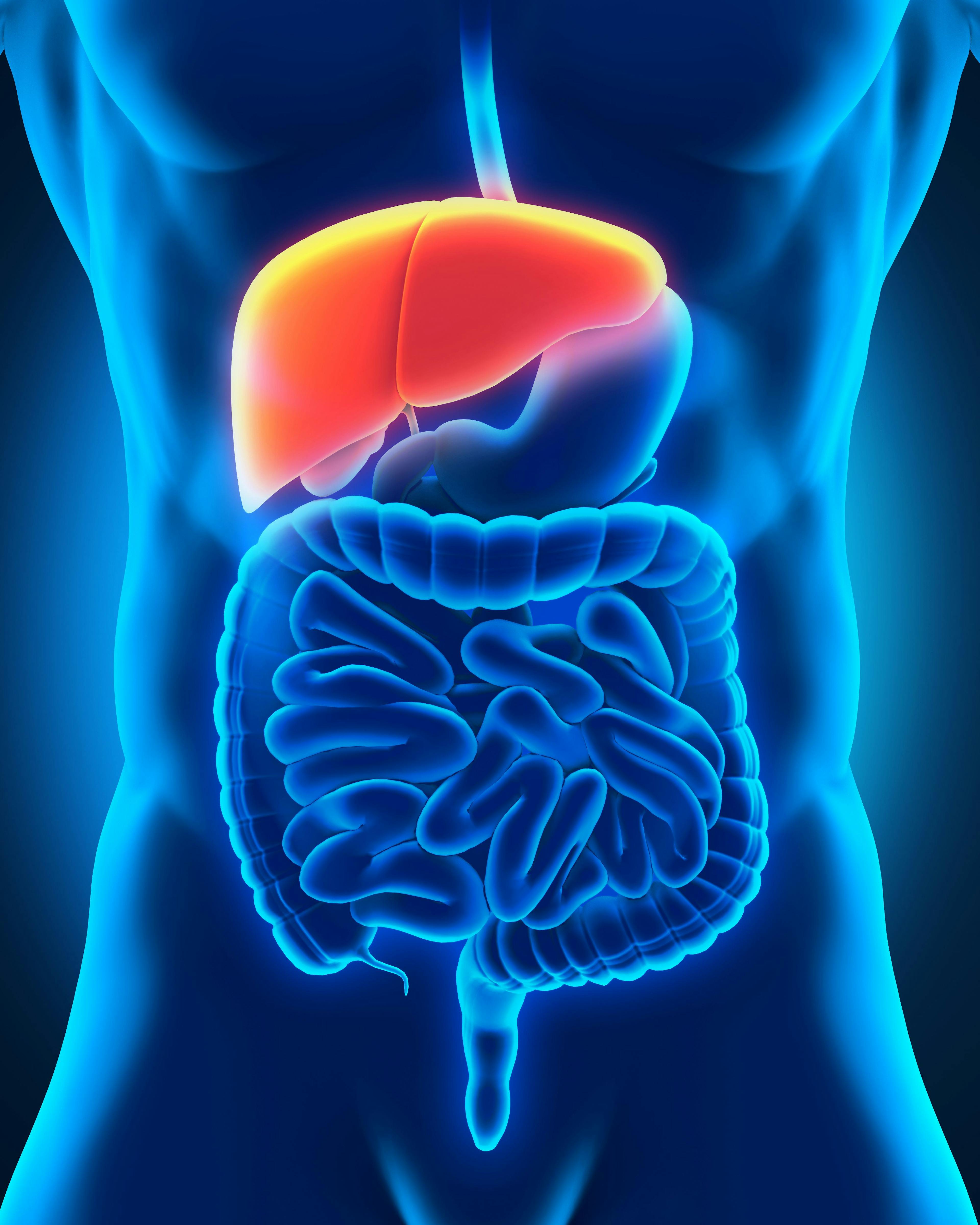 Data from 10 new randomized clinical trials support updated recommendations for various systemic therapy regimens in hepatocellular carcinoma.