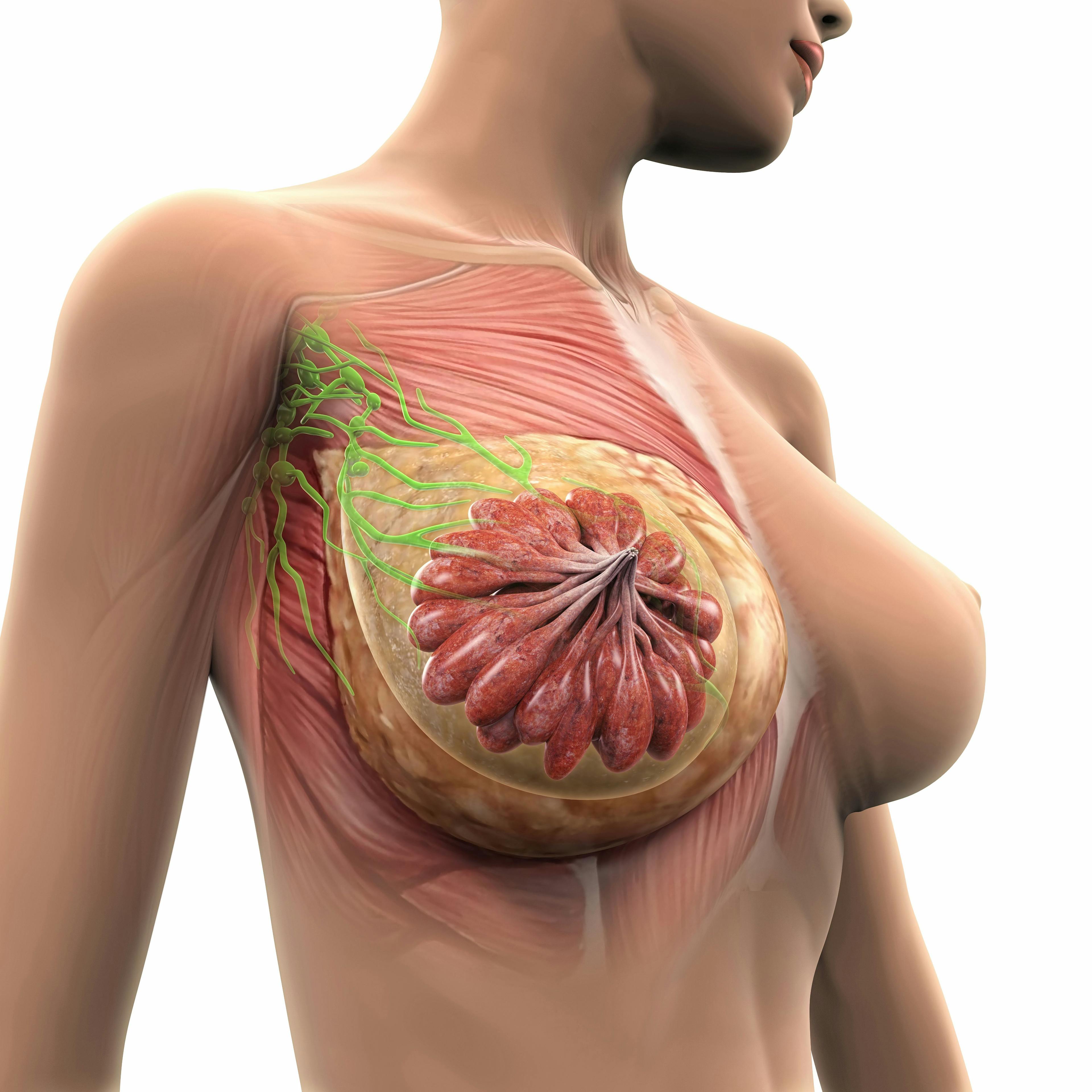 Five-year data from the monarchE trial support adding adjuvant abemaciclib to endocrine therapy for patients with hormone receptor–positive, HER2-negative breast cancer.
