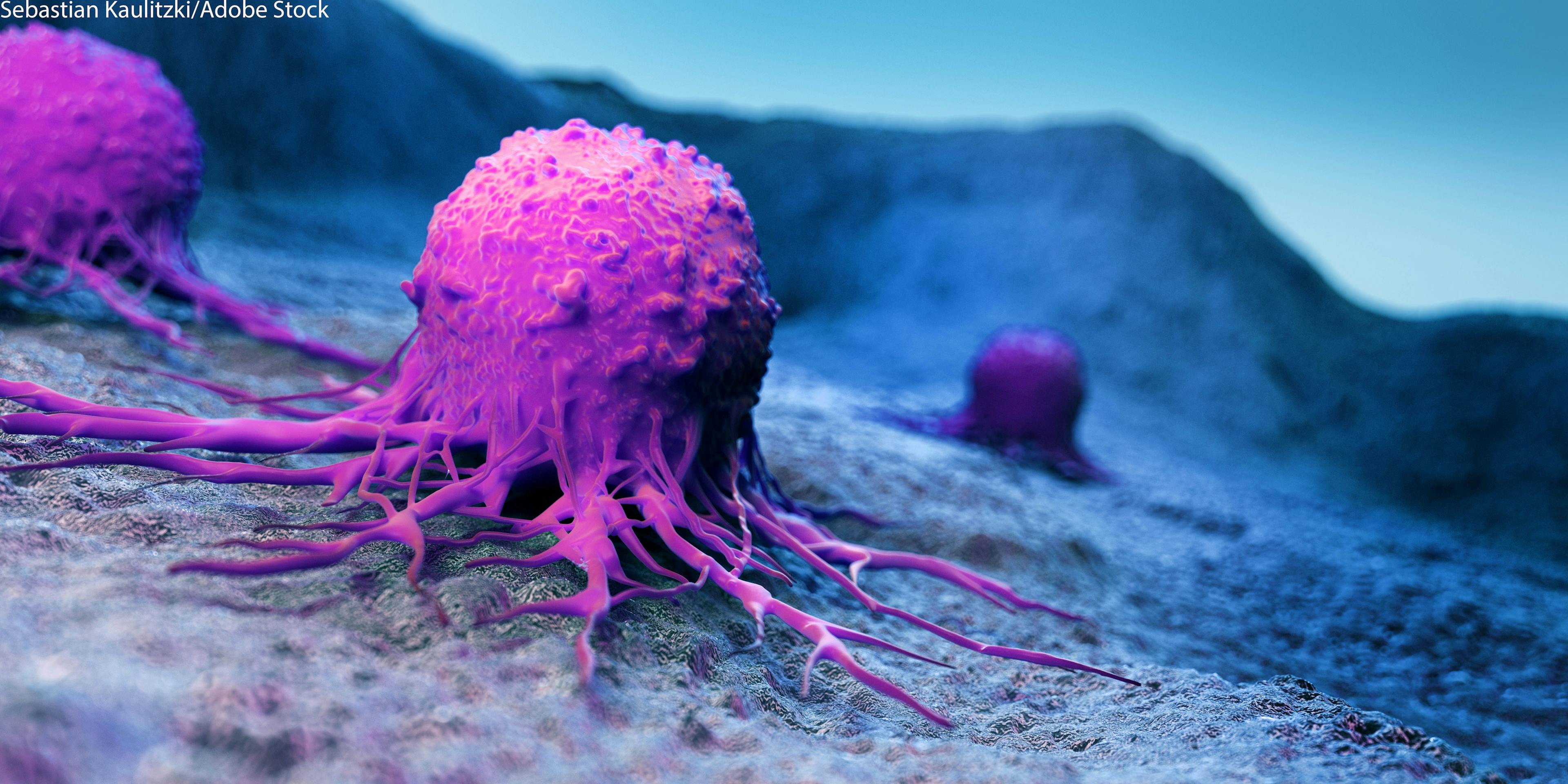 T-DXd Yields Meaningful Survival Outcomes in HER2+ Advanced Solid Tumors | Image Credit: © Sebastian Kaulitzki - stock.adobe.com.