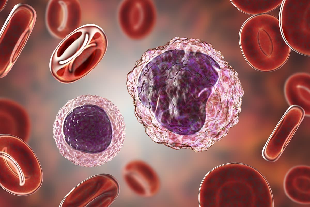 Phase 2 findings support nana-val as a promising treatment option for those with EBV-positive peripheral T-cell lymphoma.