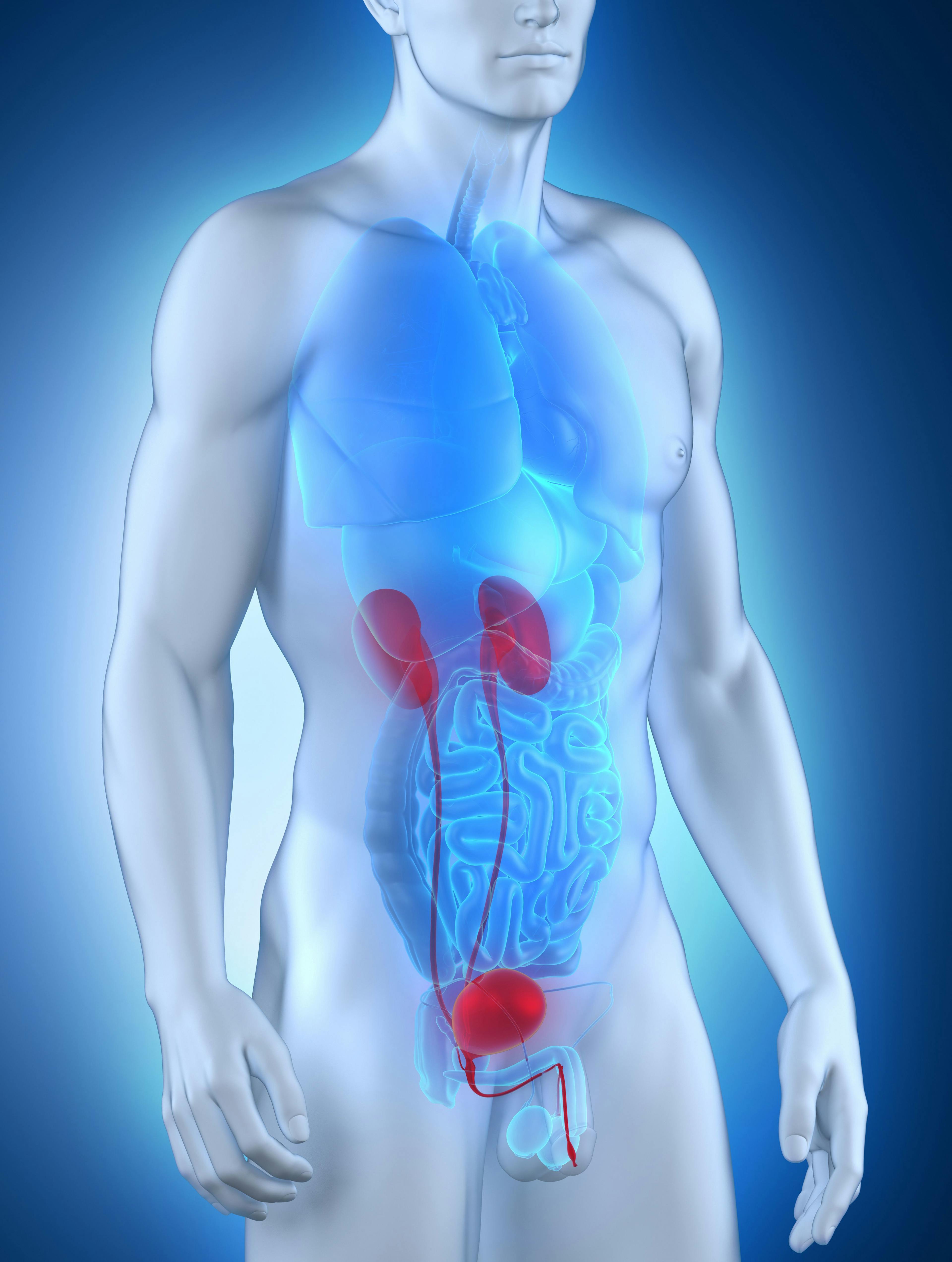 In patients with bacillus Calmette-Guérun–unresponsive non-muscle invasive bladder cancer who are being treated with nadofaragene firadenovec, elevated levels of antibody titers may be able to predict efficacy.