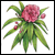 Integrative Oncology: Oleander (Nerium oleander)