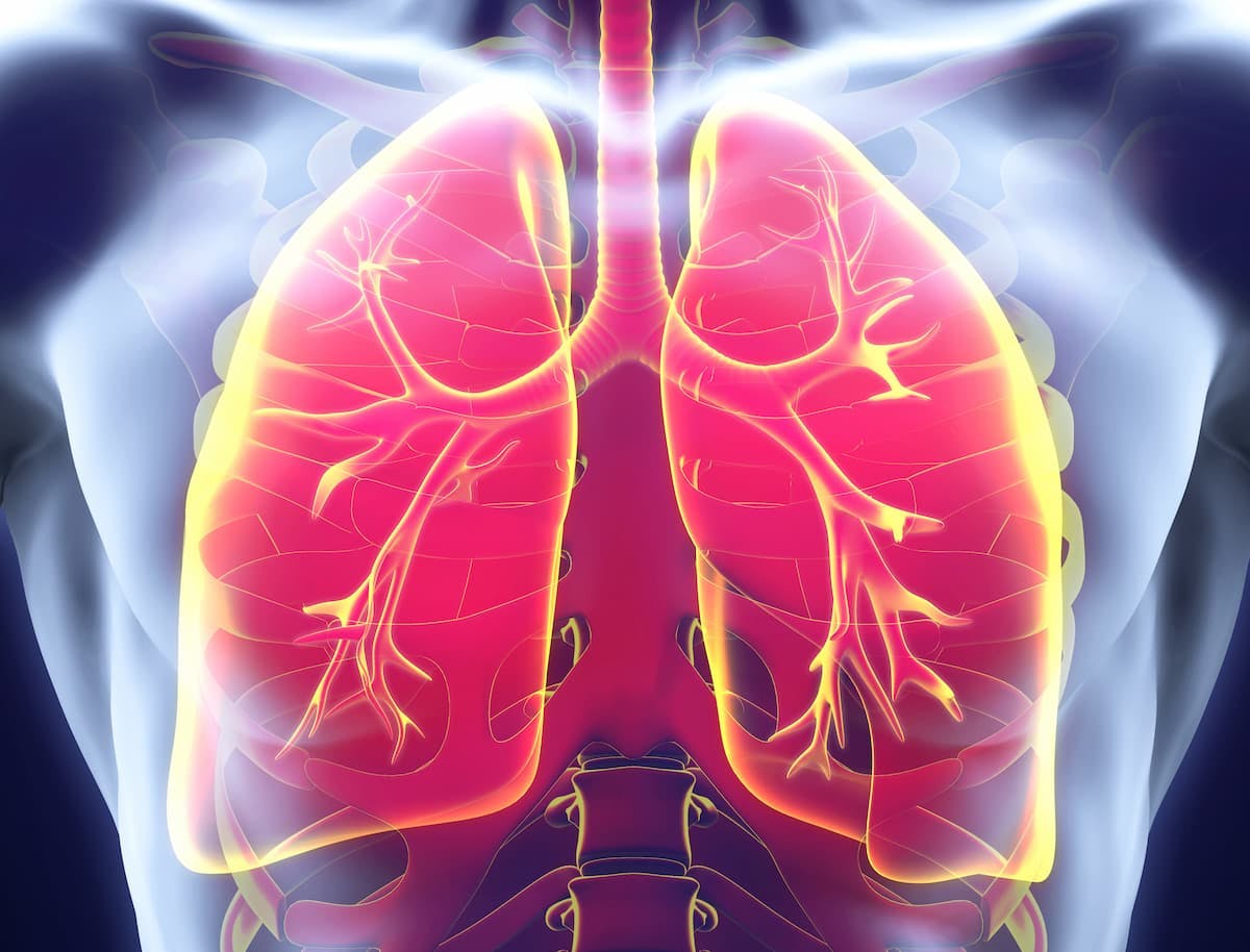 A cohort study for patients with non–small cell lung cancer found an overall survival benefit when targeted therapies were utilized. 