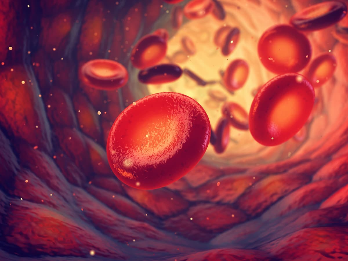 "The interim analysis demonstrated a favorable benefit-risk profile for zanubrutinib in the treatment of patients with relapsed/refractory CLL/SLL," according to the authors of the phase 3 ALPINE study.
