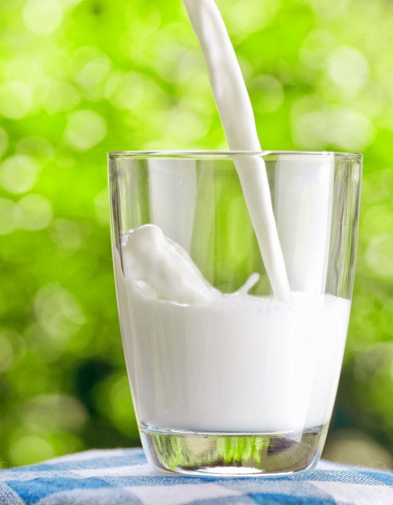 High Intake of Dairy Milk Associated with Greater Risk of Breast Cancer