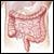 Study Finds Convenient Fecal Blood Test a Suitable Screen for Colorectal Cancer