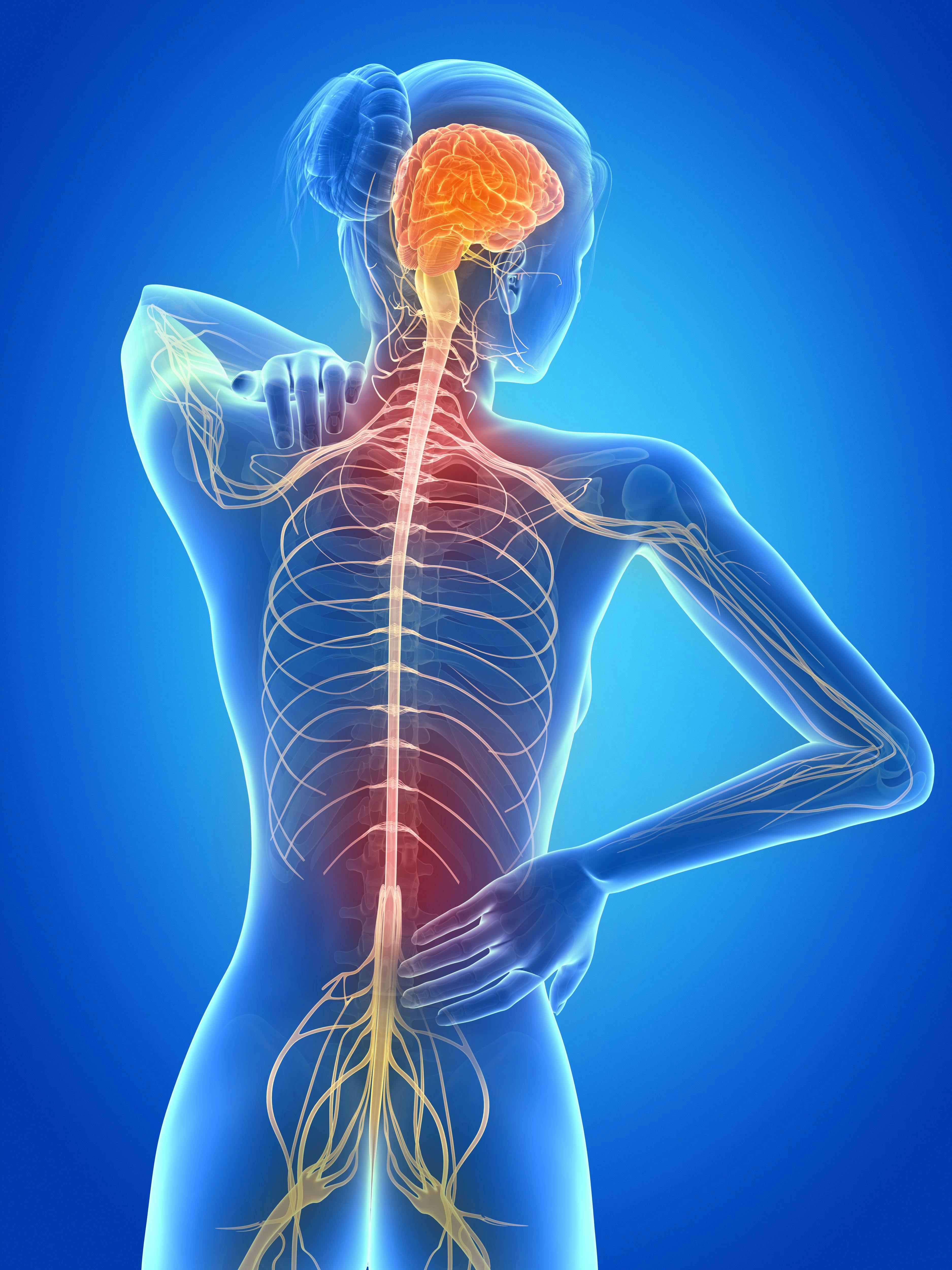 Investigators Highlight 4 Themes in Symptom Management for Head and Neck Cancer