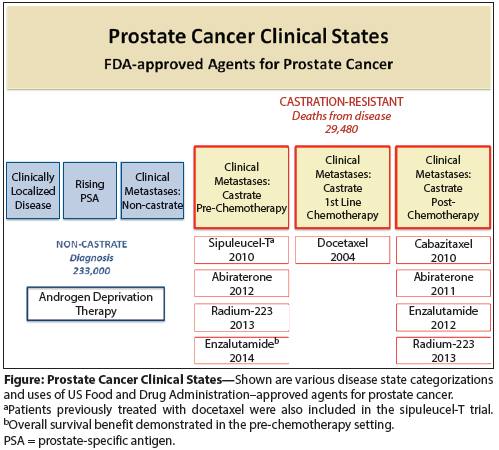 Expanding Androgen- and Androgen Receptor Signaling–Directed Therapies for Castration-Resistant Prostate Cancer