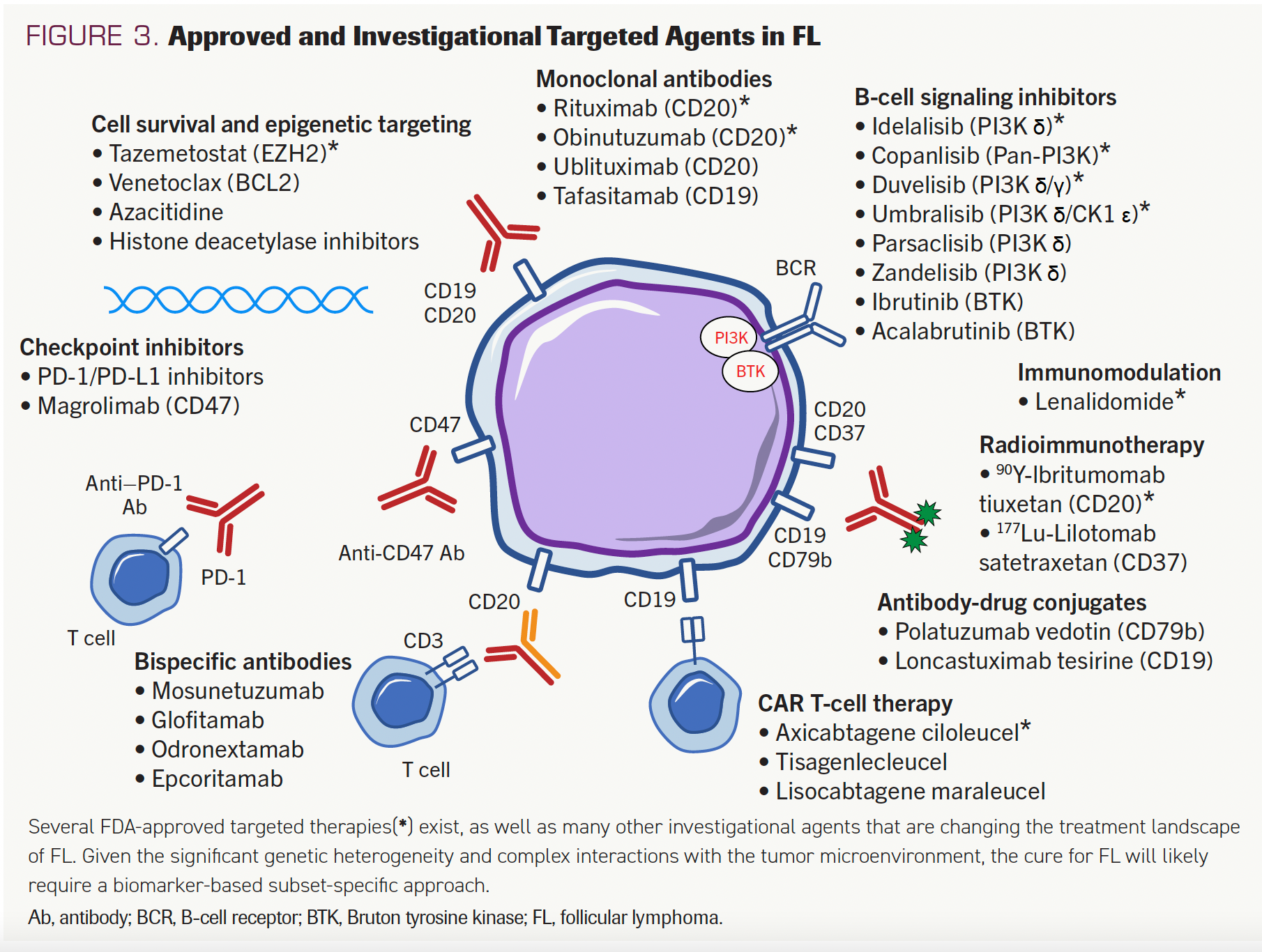 FIGURE 3. Approved and Investigational Targeted Agents in FL