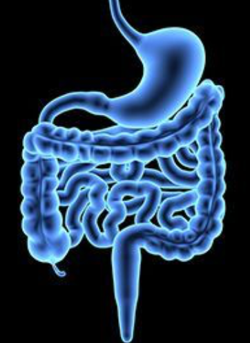 COLOMATE Challenge to Overcome Resistance in Metastatic Colorectal Cancer