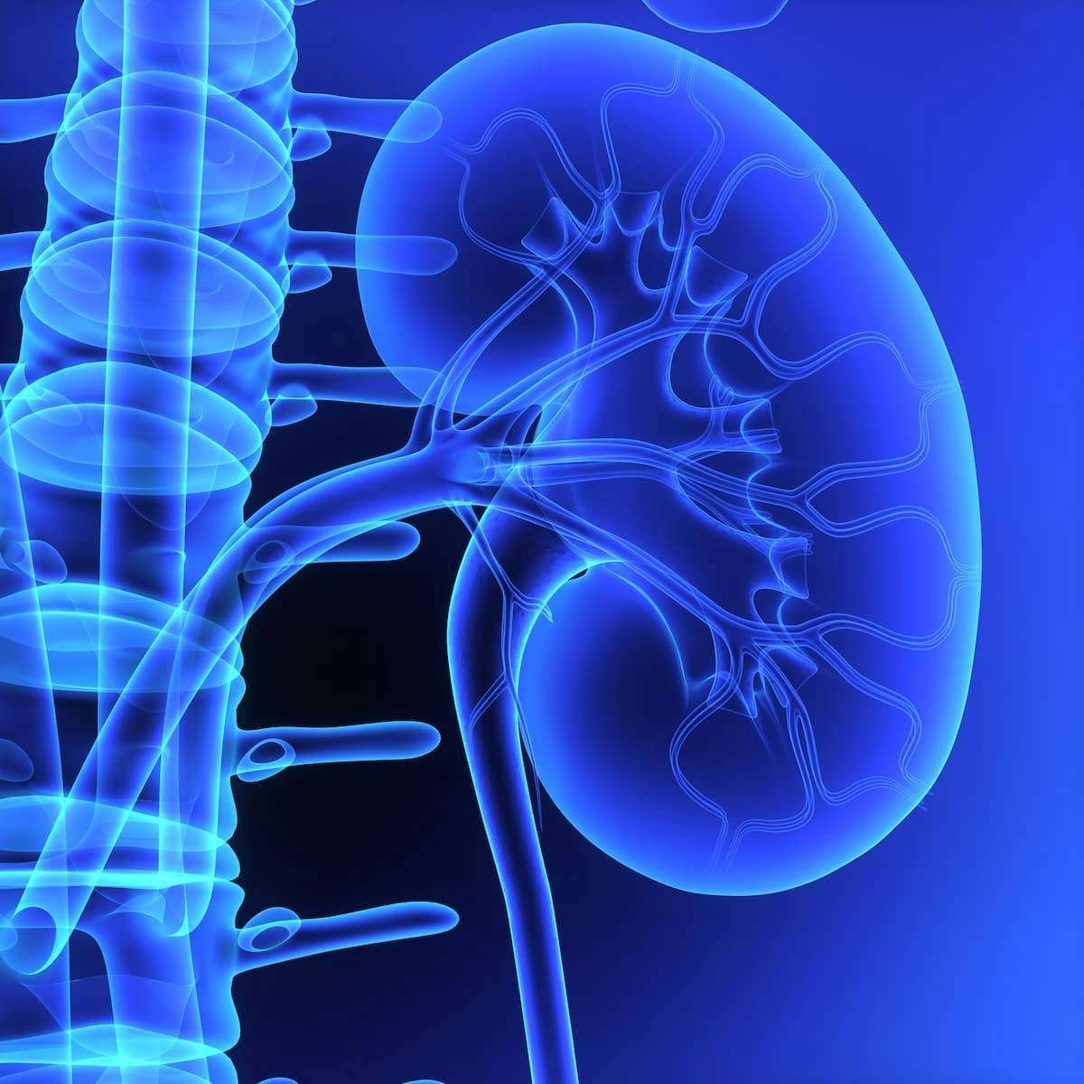The addition of cabozantinib to nivolumab and ipilimumab also appears to improve responses in patients with advanced renal cell carcinoma in the phase 3 COSMIC-313 trial.