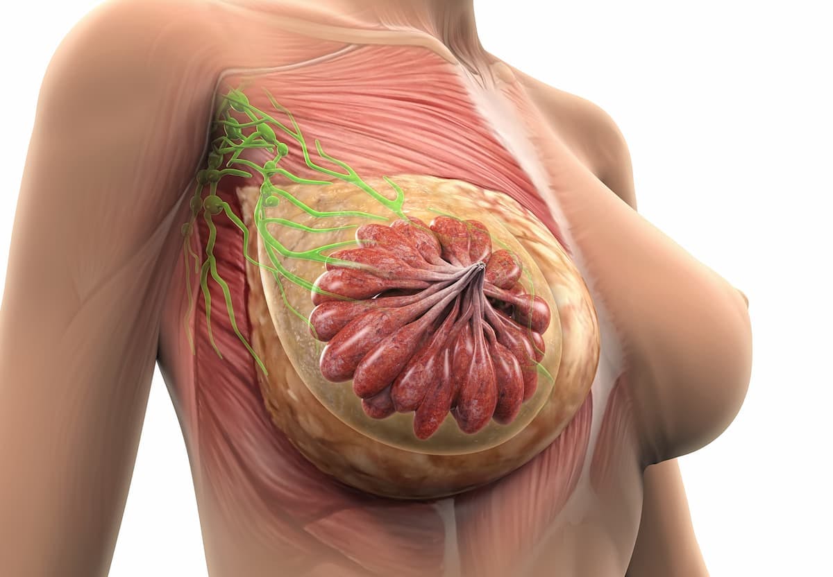 The study from Cancer Discovery examined a 3-case autopsy series, finding associations between TROP2 absence and limited clinical responses to sacituzumab govitecan for patients with metastatic triple-negative breast cancer.