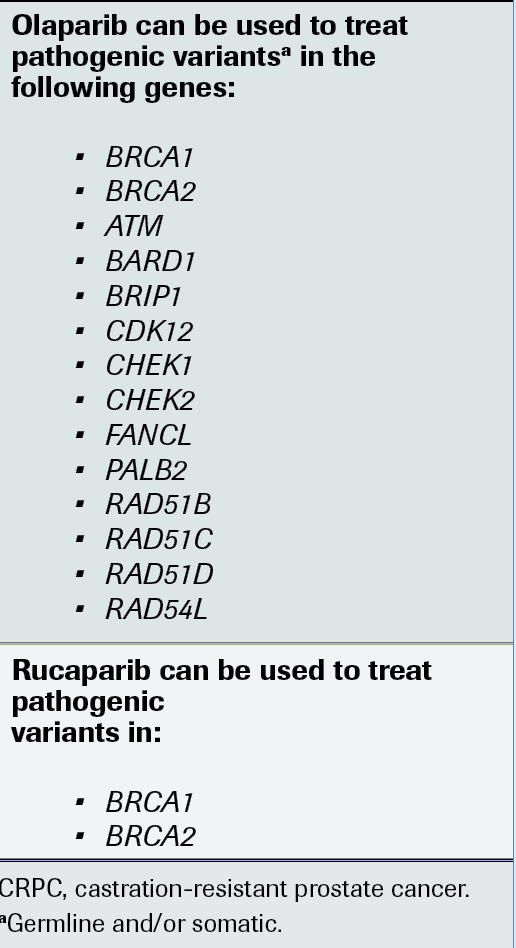 FIGURE. HRR Genes for Testing in CRPC