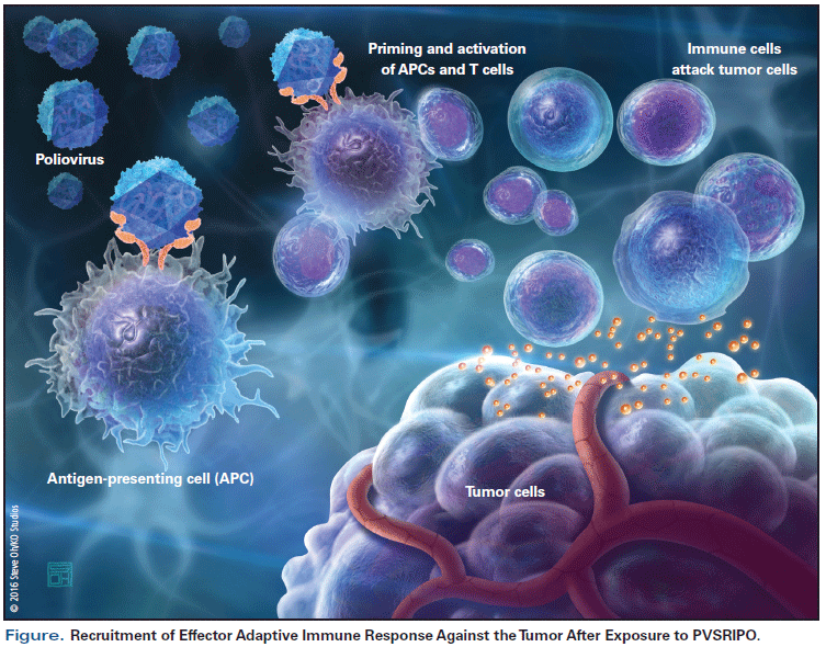 Vaccine Therapy, Oncolytic Viruses, and Gliomas