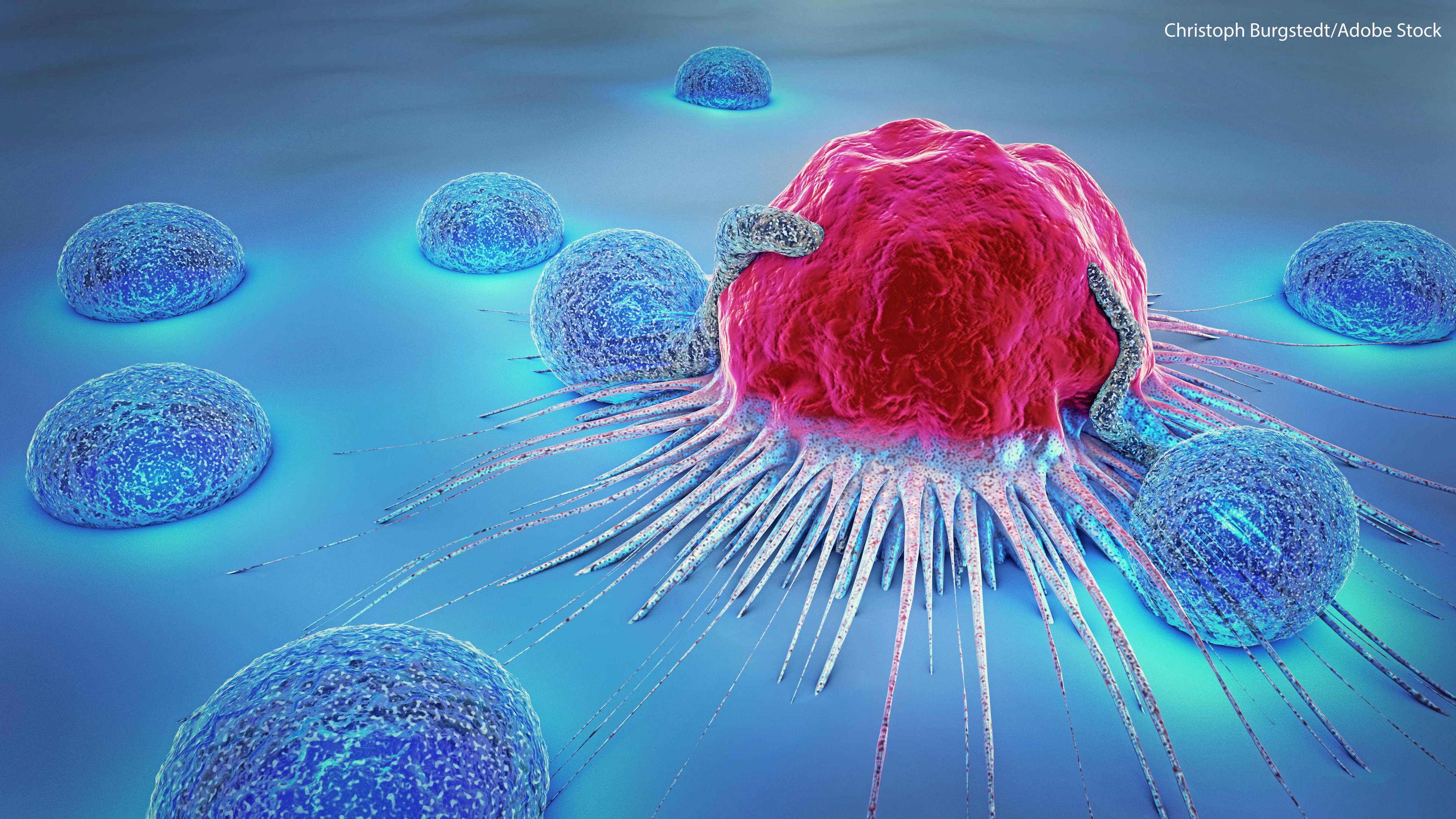 Previous data on the anti-cancer activity of BLU-222 in ovarian cancer models were presented at the 2022 American Association for Cancer Research Annual Meeting (AACR).