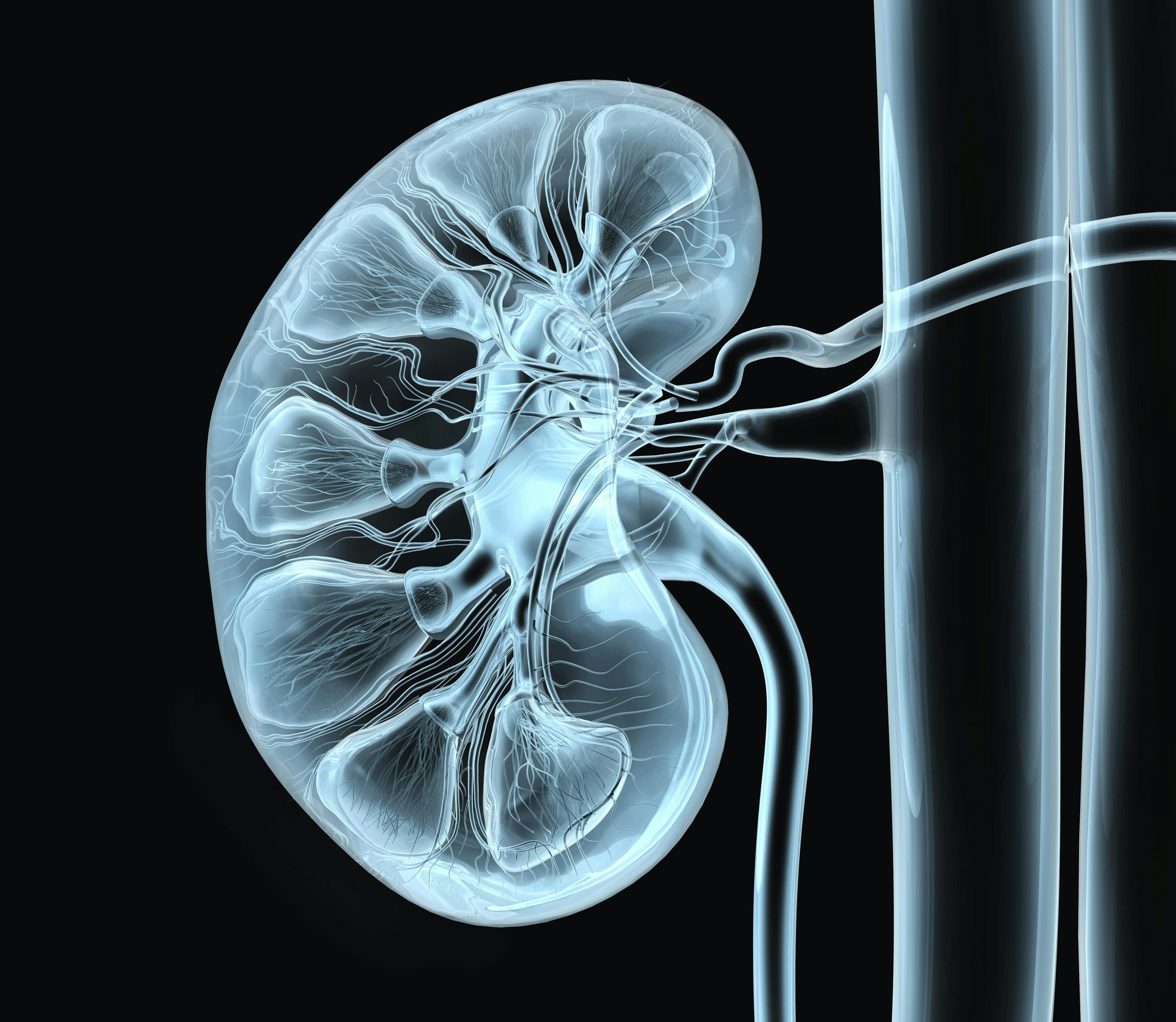 The improvements occur regardless of PD-L1 status among patients receiving lenvatinib plus pembrolizumab for advanced renal cell carcinoma in the phase 3 CLEAR study.