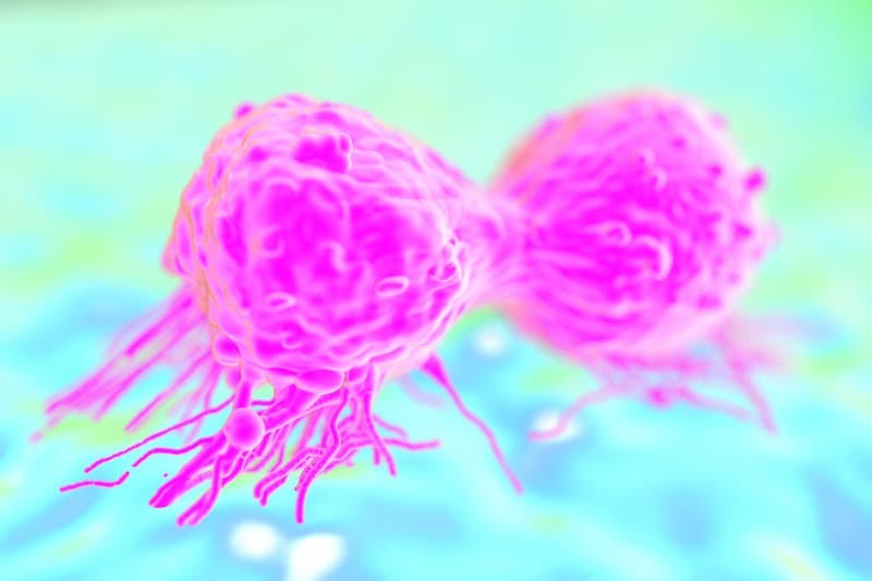 Investigators observe no new safety signals with trastuzumab emtansine as a treatment for HER2-positive breast cancer after 8 years of follow-up in the phase 3 KATHERINE study.