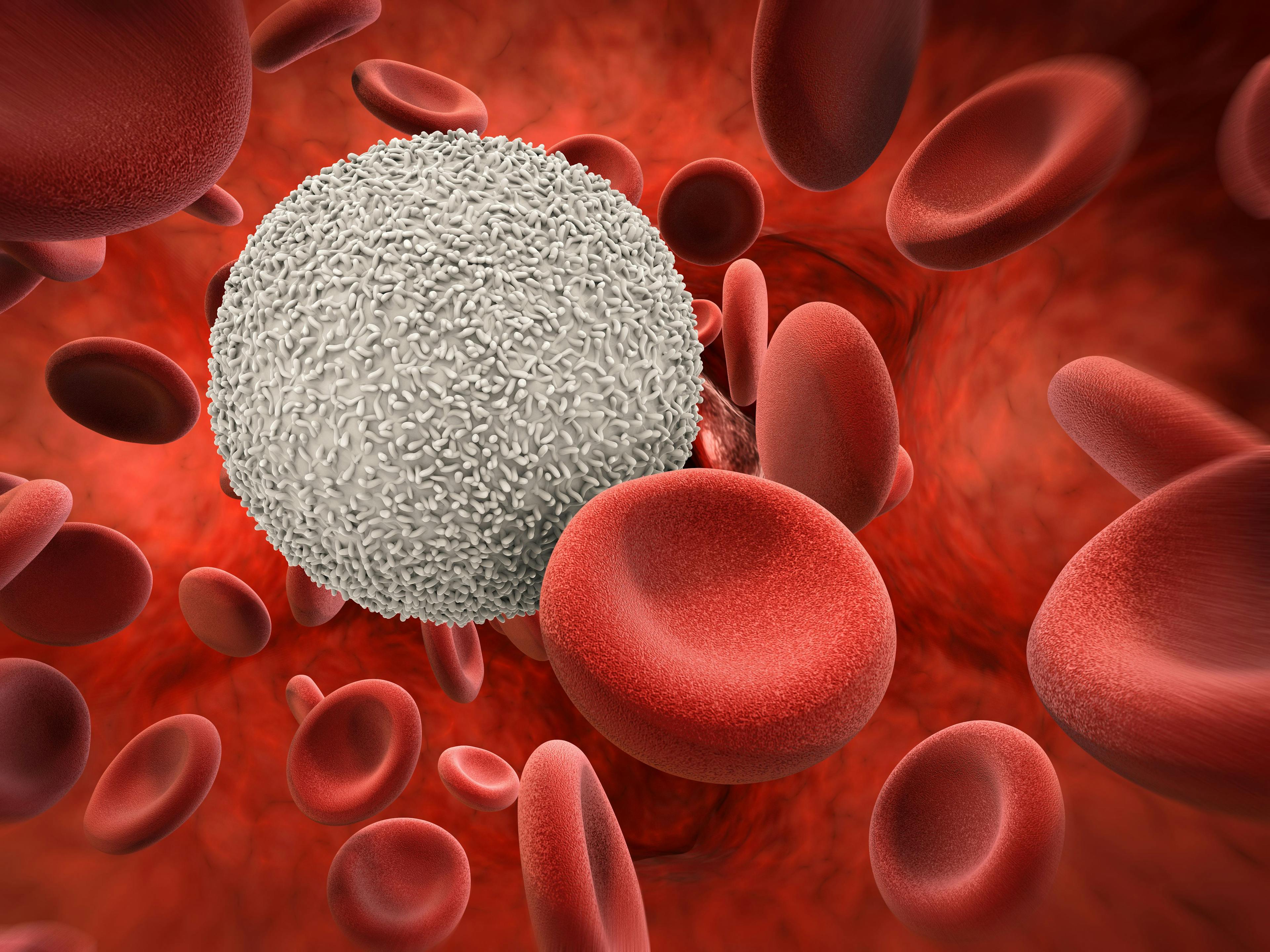 The combination of MRD-guided ibrutinib and venetoclax demonstrated feasibility for treating patients with relapsed/refractory chronic lymphocytic leukemia.