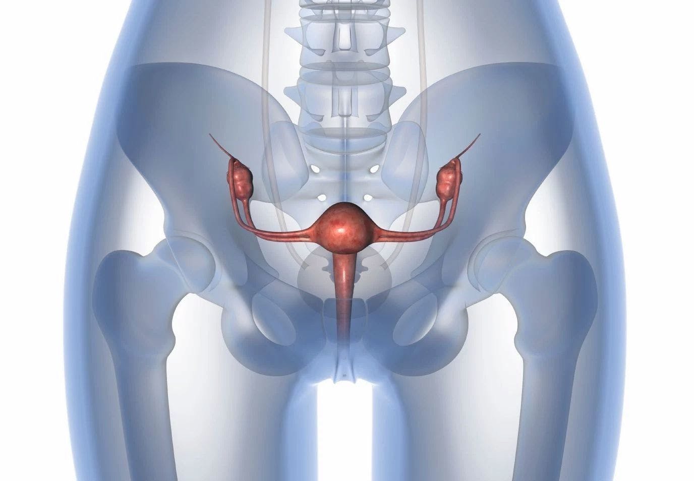 In a population of patients with recurrent mismatch repair proficient endometrial cancer, treatment with avelumab and talazoparib appeared to be well tolerated.