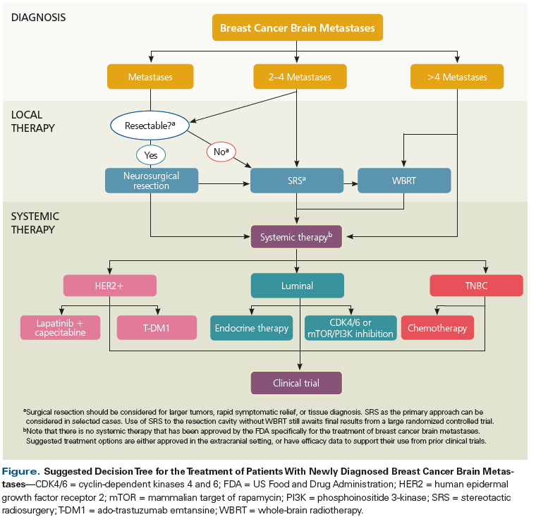 Multidisciplinary Management of Breast Cancer Brain Metastases