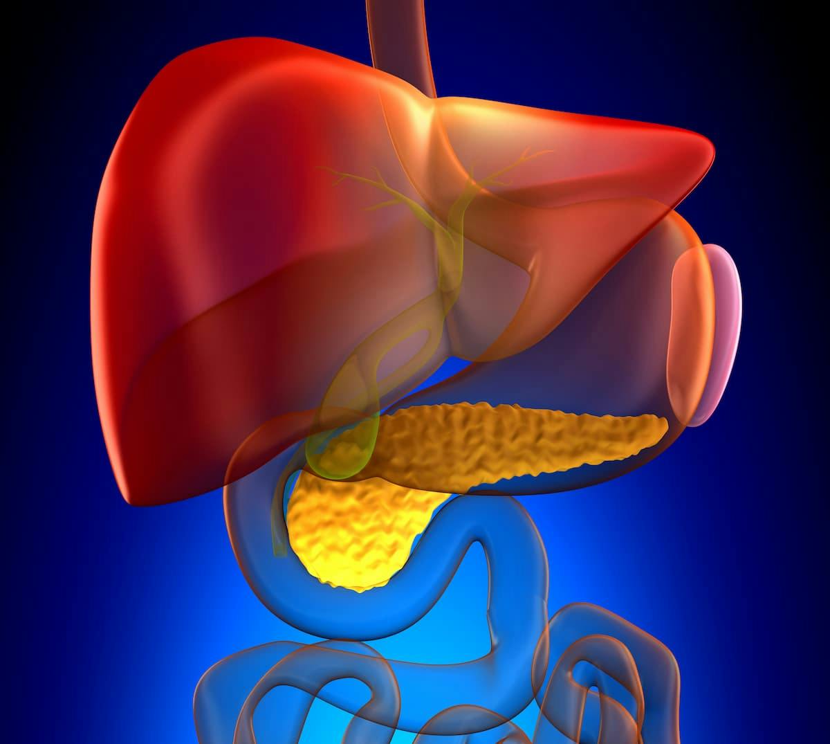 Adjuvant atezolizumab plus bevacizumab may effectively combat recurrence after surgery in patients with early-stage hepatocellular carcinoma.