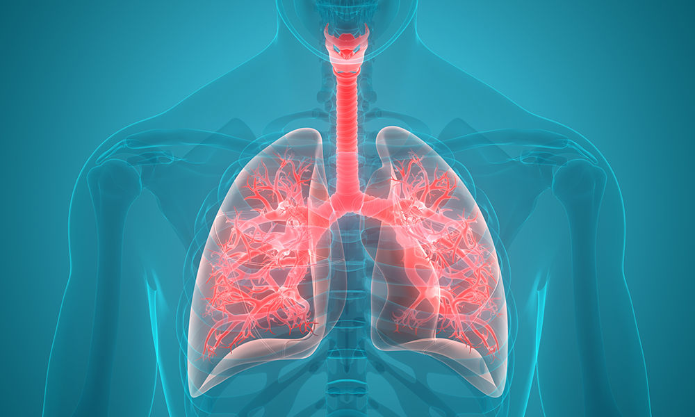 Inhibition of Pathway May Lead to Prevention and Treatment of NSCLC