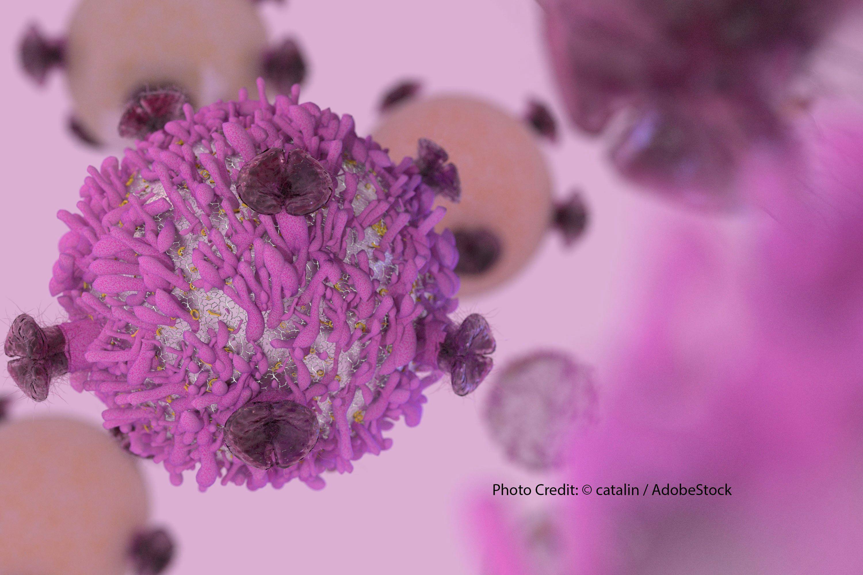 Regional Delivery of Mesothelin-Targeted CAR T-Cell Therapy Creates a Win for Solid Tumors