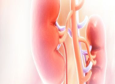 New findings indicate that historically underserved patient populations with renal cell carcinoma are more likely to receive non–guidance-based treatment.