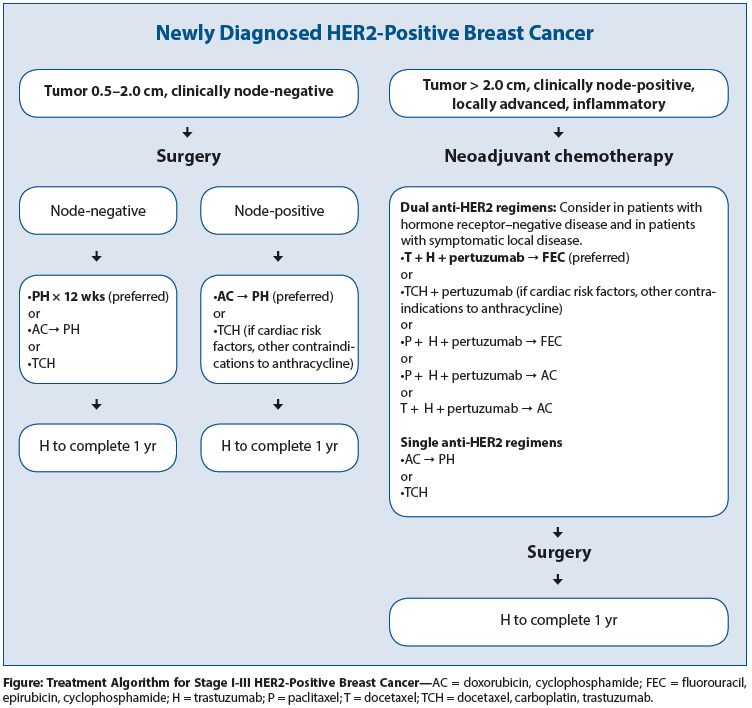 HER2-Targeted Therapy for Early-Stage  Breast Cancer: A Comprehensive Review