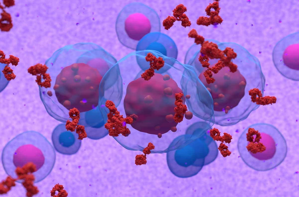 Novel CAR T Therapy Yields Safety, Responses in R/R Multiple Myeloma | Image Credit: © LASZLO - stock.adobe.com.