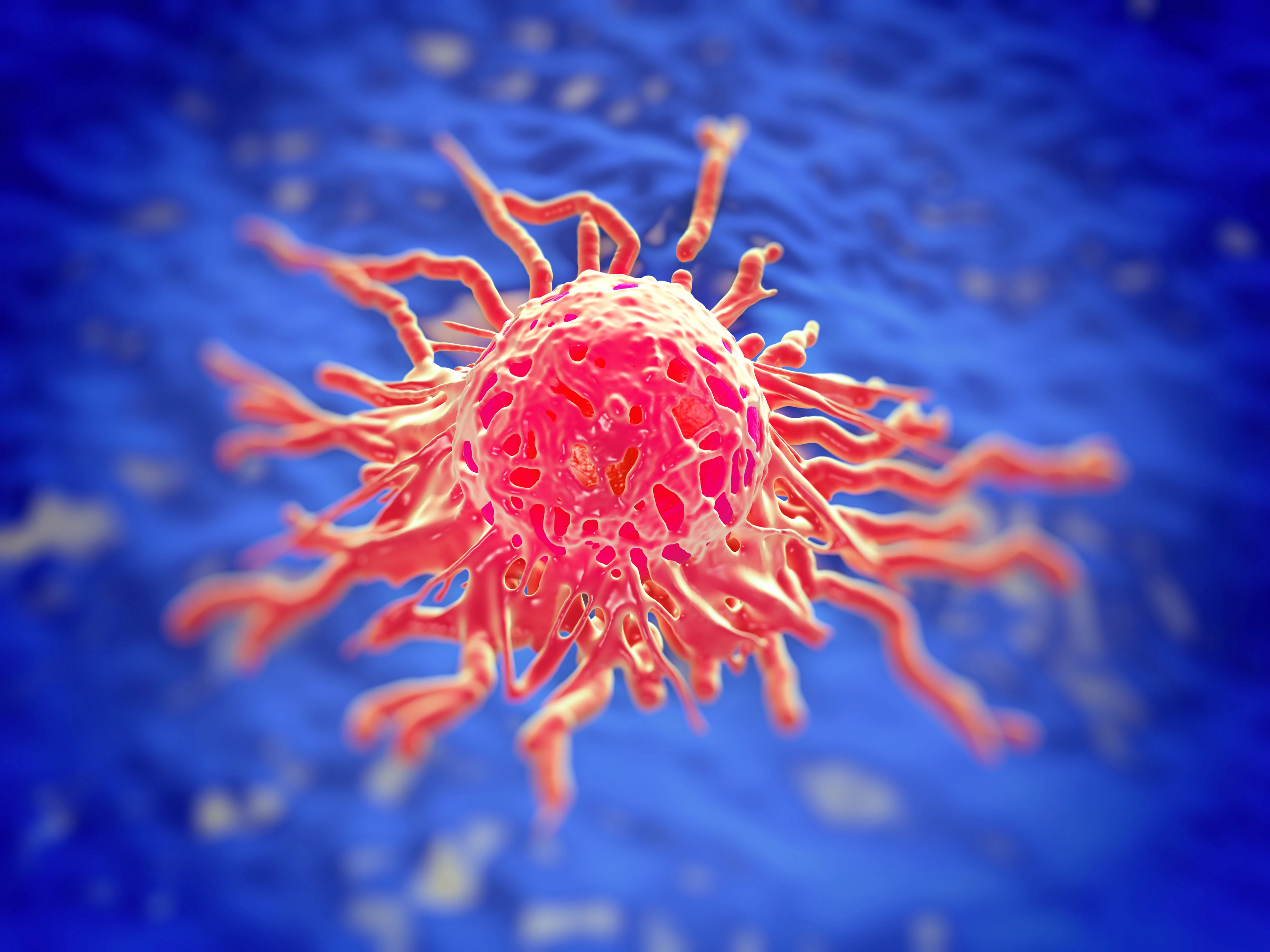 The mTOR inhibitor nab-sirolimus may be the first agent to receive FDA approval as therapy specifically for perivascular epithelioid cell tumors.