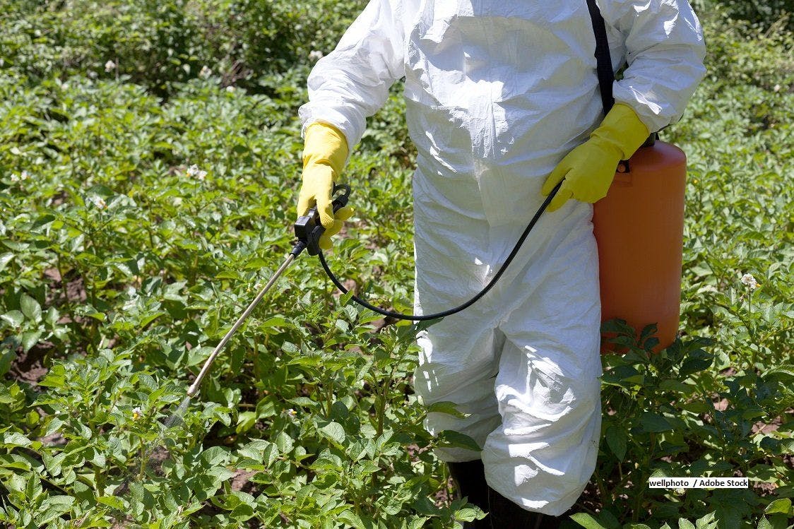 Does Occupational Pesticide Exposure Lead to Treatment Failure for DLBCL?