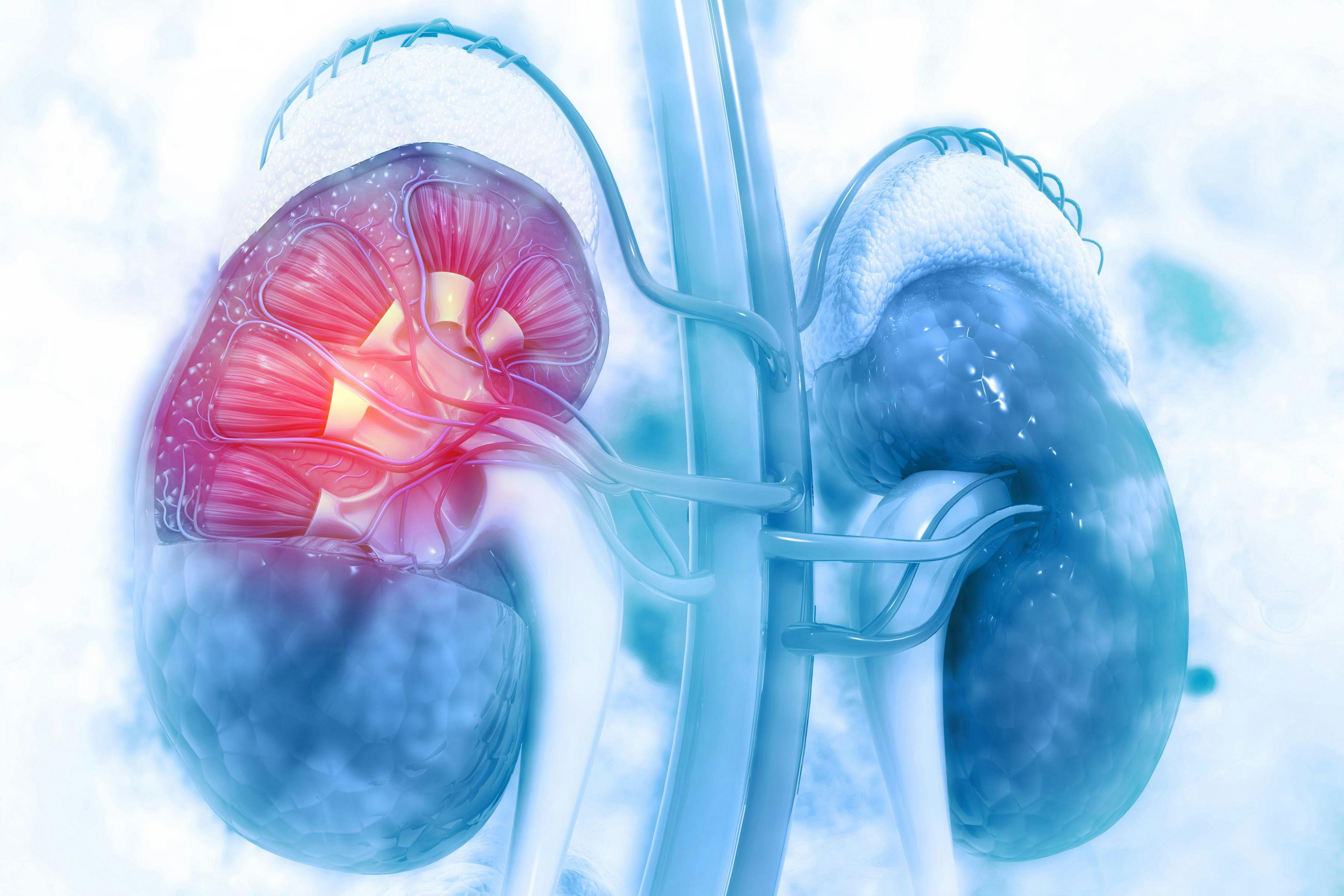 Patient with advanced renal cell carcinoma who were treated with nivolumab and ipilimumab experienced a long-term survival benefit that was superior to sunitinib.