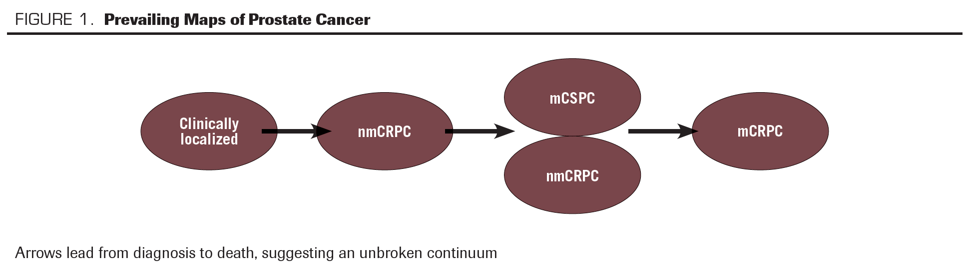 FIGURE 1. Prevailing Maps of Prostate Cancer