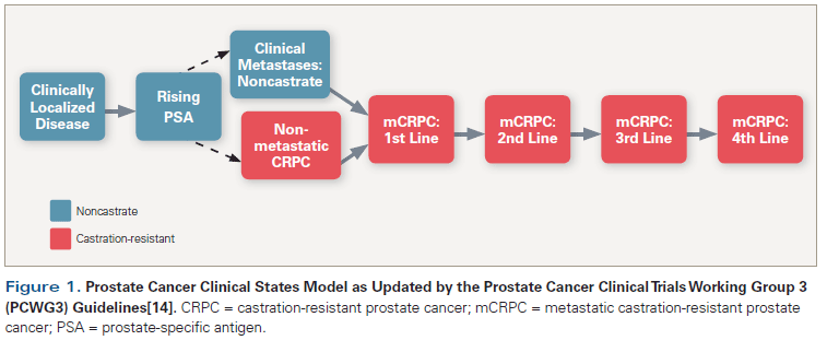 The Evolving Biology of Castration-Resistant Prostate Cancer: Review of Recommendations From the Prostate Cancer Clinical Trials Working Group 3