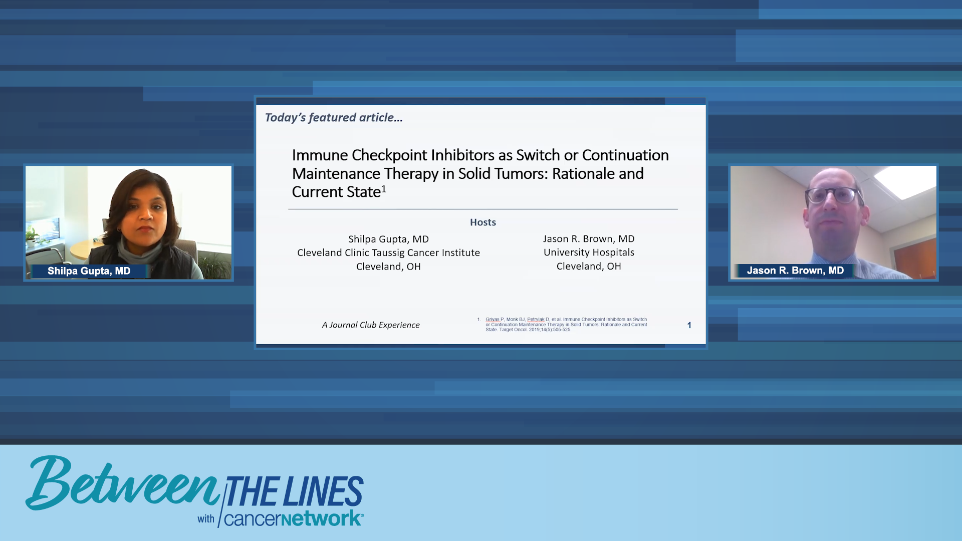 Immune Checkpoint Inhibitors as Switch or Continuous Maintenance Therapy in Solid Tumors: Rationale and Current State