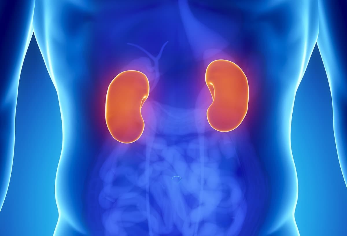 Findings from a retrospective analysis indicate that treatment in non-academic cancer centers correlates with a decreased rate of immunotherapy use among patients with advanced clear cell renal cell carcinoma.