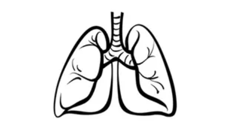Experts on Lung Cancer 