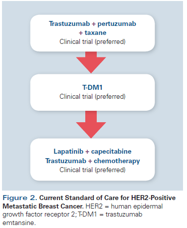 Management of Metastatic HER2-Positive Breast Cancer: Where Are We and Where Do We Go From Here?