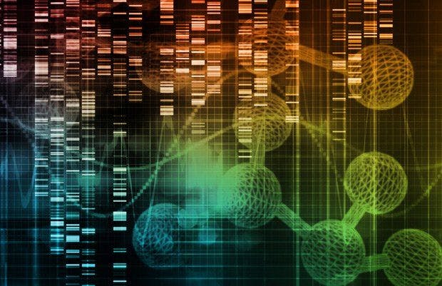 Genomic Analysis Yields Four Subtypes of Pancreatic Cancer